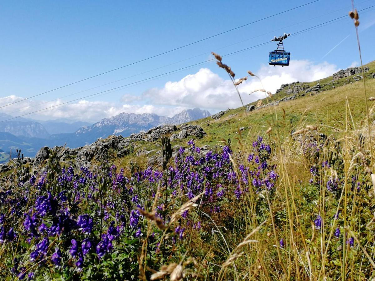 Ferienwohnung Ehrensberger Brixen im Thale Buitenkant foto